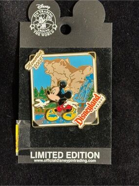 Disney Pin Special Edition